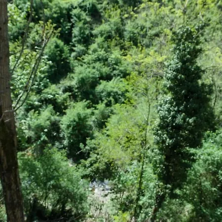 Casa Foresto, Vallombrosa, Wifi, Pet Friendly * Tosi